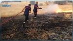 سليانة : السيطرة على حريق إندلع قرب سكة قطار 