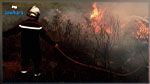 جندوبة: السيطرة على الحريق الذي اندلع بمنطقة جبل البياضة