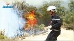 أريانة: إخماد حريق بجبل 