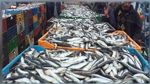 تونس تحقق فائضا في ميزان التجارة الخارجية لمنتوجات الصيد البحري 