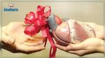 زرع الأعضاء : 50 حالة جديدة سنويا على قائمات الإنتظار لمرضى القلب والكبد