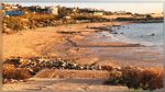 ظاهرة غريبة في شواطئ لبنان ومصر: خبراء يوضّحون