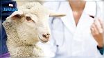 توصيات وزارة الفلاحة للتّوقي من مرض التّسمم المعوي لدى الأبقار والماشية والماعز 