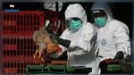 تسجيل أول حالة وفاة بشرية بإنفلونزا الطيور في العالم