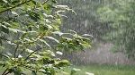 بعد ظهر اليوم.. أمطار رعدية و غزيرة منتظرة في هذه الجهات
