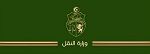استعدادات وزارة النقل لعودة التونسيين من الخارج 