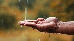 اليوم : أمطار متواصلة في بعض الجهات