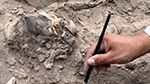 البيرو: علماء يكتشفون مومياء عمرها 3000 عام