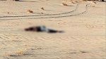 بن قردان : العثور على جثة مهاجر سوداني