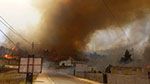 ملولة: الحرائق تأتي على حوالي 450 هكتار من الصنوبر البحري