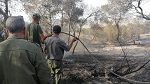 القصرين : السيطرة على حريق جبل سمامة وإبعاد خطره عن المتساكنين