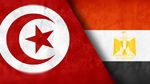 وفق تقرير للبنك الافريقي: تونس ومصر تستأثران بالنصيب الأوفر من التمويل المناخي 