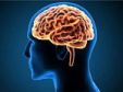 دراسة: تضرر هذه المنطقة بالدماغ يمنع الشعور بالشبع
