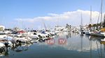 طقس اليوم الجمعة 11 أوت 2023