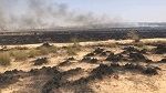 القصرين: السيطرة على حريق أتى على هكتار من نبتة الحلفاء