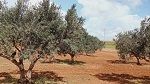 استرجاع عقار دولي فلاحي بمساحة 3 هكتارات في ولاية جندوبة