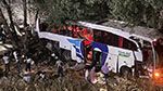 حادث سير مروّع يُسفر عن قتلى وجرحى في تركيا