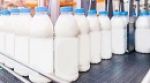 مسؤول يوضح السبب وراء تراجع مادة الحليب بالأسواق