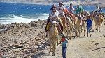 شرطي مصري يطلق النار على سياح إسرائيـ.ـليين ويقـ.ـتل عددا منهم