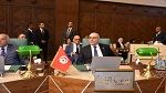 وزير الخارجية يشارك في اجتماع مجلس الجامعة العربية حول العـ.دوان الصهيـ.وني على فلسطـ.ين