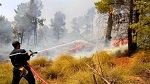 نابل: السيطرة على حريق بغابة جبل سيدي عبد الرحمان 