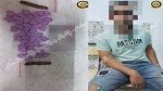 الحمامات: تلميذ بمركز تكوين مهني يُروّج المخدرات في الوسط المدرسي 