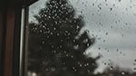 اليوم.. أمطار متفرقة ورعدية بهذه المناطق