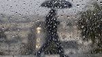 اليوم.. تواصل نزول الأمطار بهذه الجهات