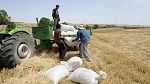 رئيس دائرة الانتاج النباتي بالقصرين: الأمطار الأخيرة ستكون حافزا للفلاحين