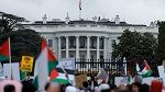 مظاهرة أمام البيت الأبيض دعماً للفلسطينيين
