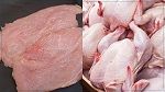 تحديد أسعار الدجاج والإسكالوب والبيض لشهر ديسمبر(فيديو)