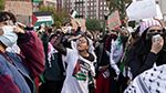 الكوفية الفلسطينية.. قفزة بالمبيعات في أميركا رغم استهداف مُرْتدِيها