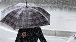 أمطار مرتقبة في أغلب الجهات.. وغزيرة في جهة الساحل ونابل والقيروان