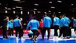 منتخب كرة اليد ينهزم وديا ضد المنتخب الفرنسي