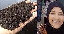 امرأة تونسية تنجح في انتاج سماد طبيعي للزراعة استخرجته من الذّباب