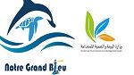 المنستير: دورة تدريبية في المجال البيئي لنواب الشعب