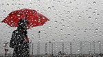 كميات الأمطار المسجّلة بعدد من مناطق البلاد خلال 24 ساعة 