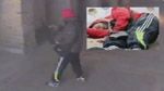 هجوم باردو : فيديو  يبين كيفية دخول الإرهابيين الى المتحف