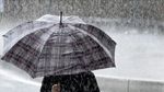 بداية من مساء الغد: أمطار مؤقتا رعدية ومحليا غزيرة
