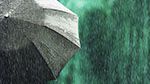 ظهر اليوم.. أمطار غزيرة منتظرة بهذه المناطق