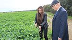 وزير الفلاحة يؤدي زيارة تفقّد إلى بعض المنشآت الفلاحية