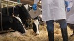 غرفة الأطباء البياطرة تتمسك بقرار مقاطعة التوكيل الصحي مع استعدادها للحوار 