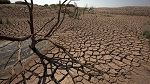 تونس الدولة الخامسة في العالم الأكثر عرضة لخطر الجفاف 