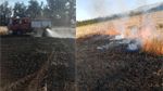 بوسالم: نشوب حريق في أحد حقول القمح