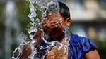 الهند: وفاة 14 شخصًا جرّاء موجة حرّ شديدة 