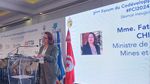 وزيرة الصناعة : المؤسسات الفرنسية في تونس تشغل أكثر من 100 ألف عامل