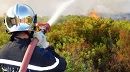 الكاف.. السيطرة على 3 حرائق