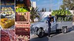 في منوبة و بن عروس : حجز كميات كبيرة من الخضر والغلال وإعادة ضخها في سوق الجملة
