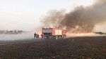 جندوبة: حريق في أحد حقول القمح