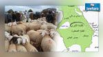  القلعة الكبرى : تعرّض أكثر من 20 فلاحا للسرقة 